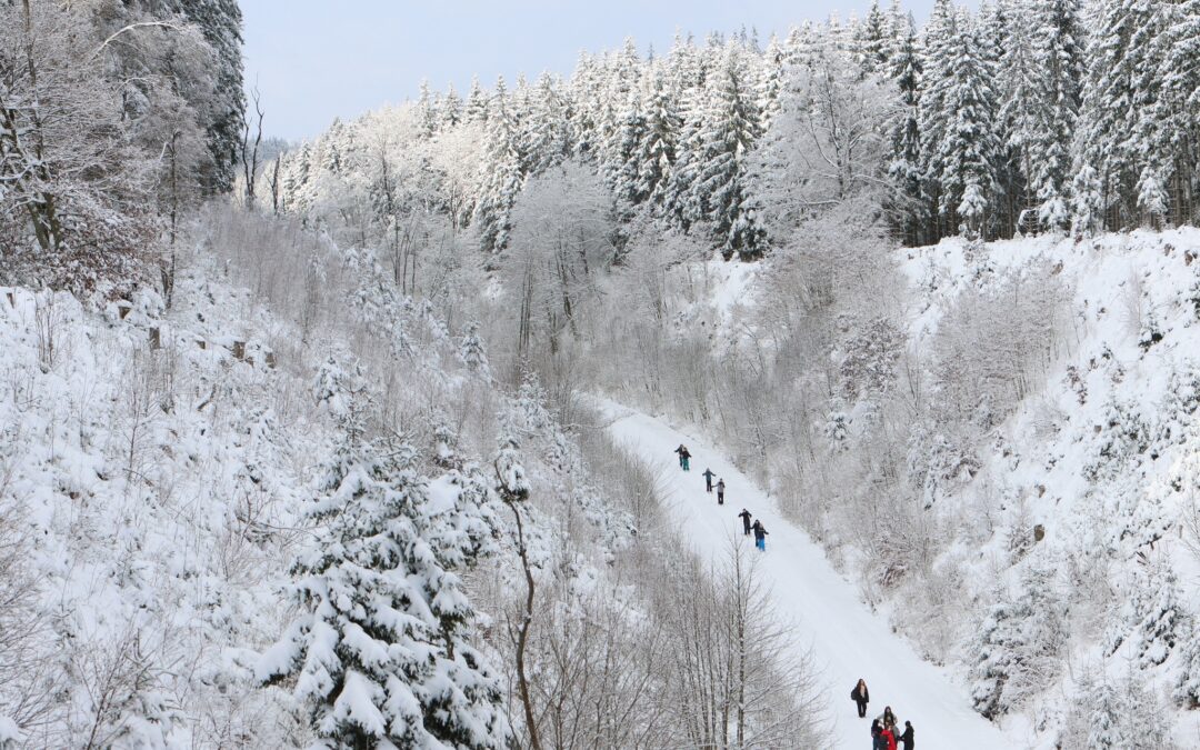 Langlauf in Losheimergraben